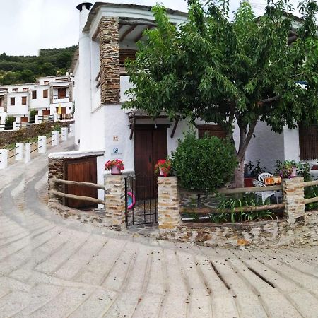 Casa Alpujarrena Fina Numero 27 Bubión Dış mekan fotoğraf