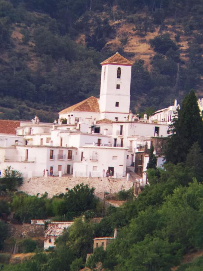 Casa Alpujarrena Fina Numero 27 Bubión Dış mekan fotoğraf