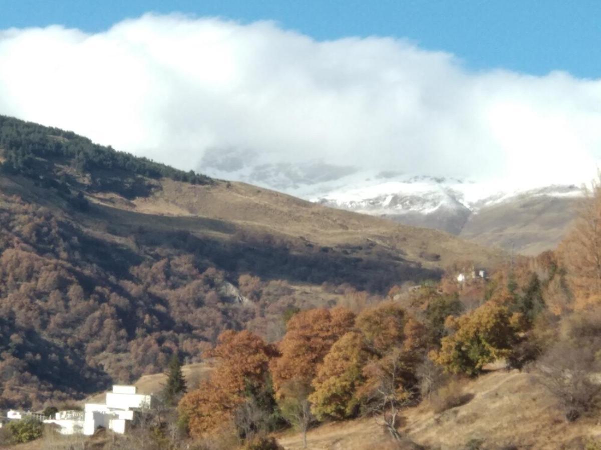 Casa Alpujarrena Fina Numero 27 Bubión Dış mekan fotoğraf