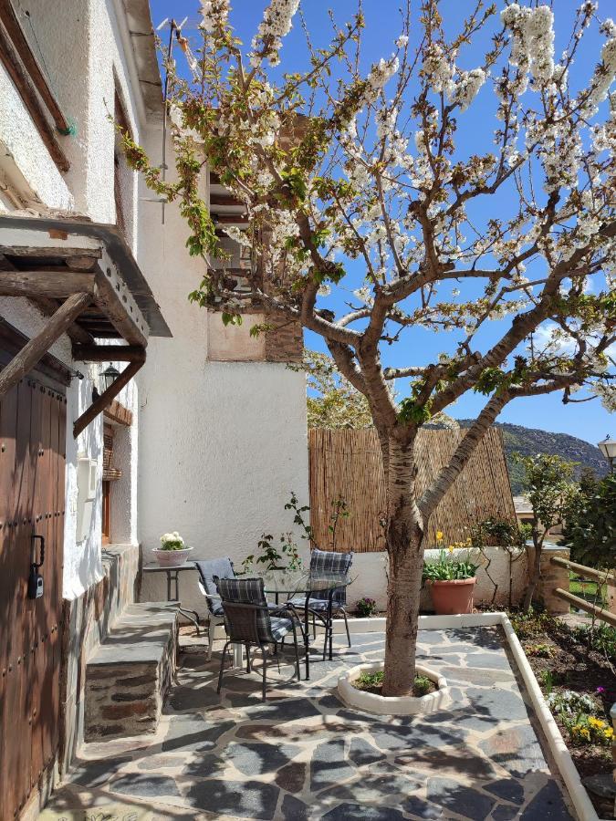 Casa Alpujarrena Fina Numero 27 Bubión Dış mekan fotoğraf