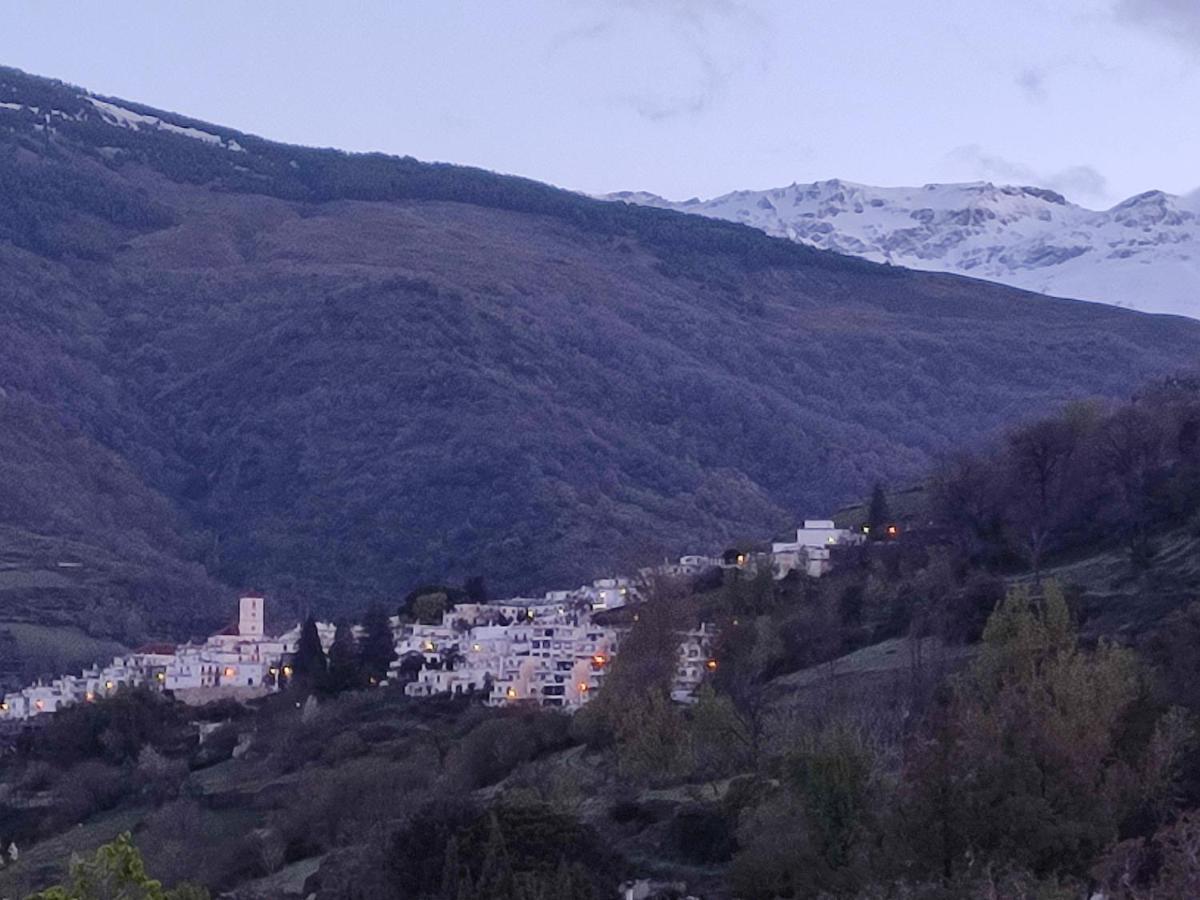 Casa Alpujarrena Fina Numero 27 Bubión Dış mekan fotoğraf