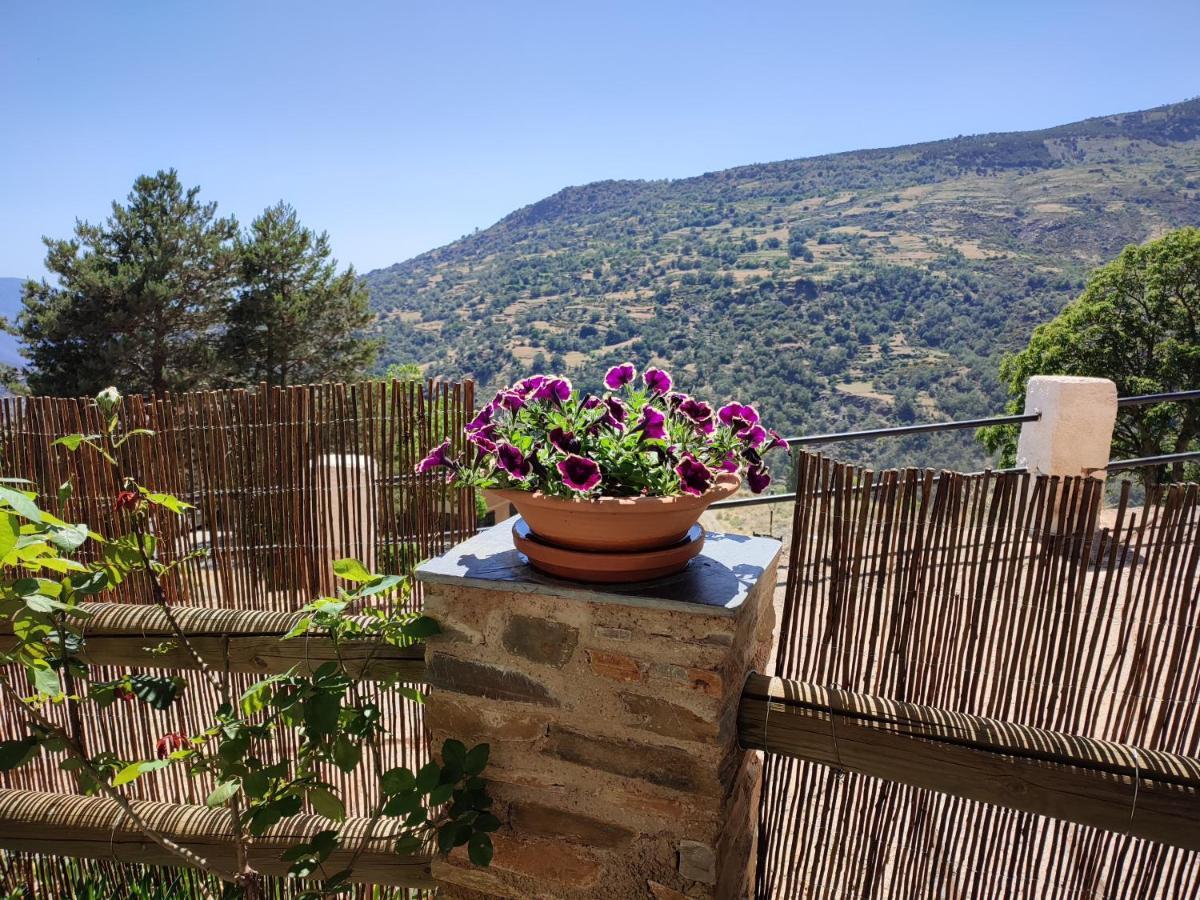 Casa Alpujarrena Fina Numero 27 Bubión Dış mekan fotoğraf