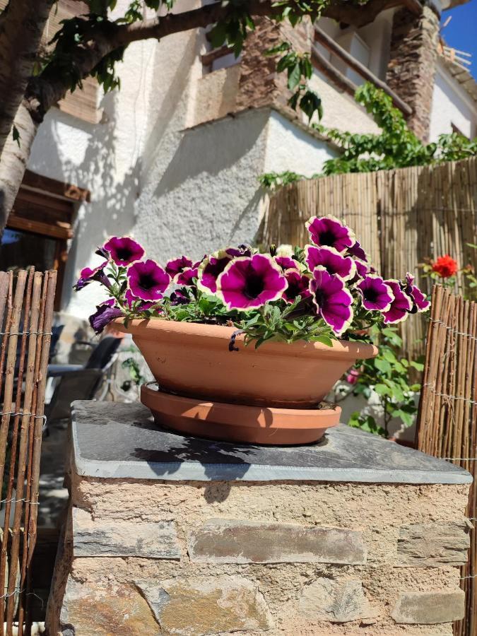 Casa Alpujarrena Fina Numero 27 Bubión Dış mekan fotoğraf