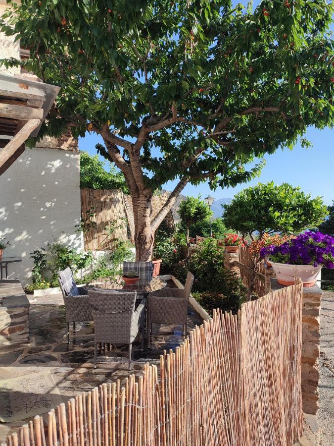 Casa Alpujarrena Fina Numero 27 Bubión Dış mekan fotoğraf