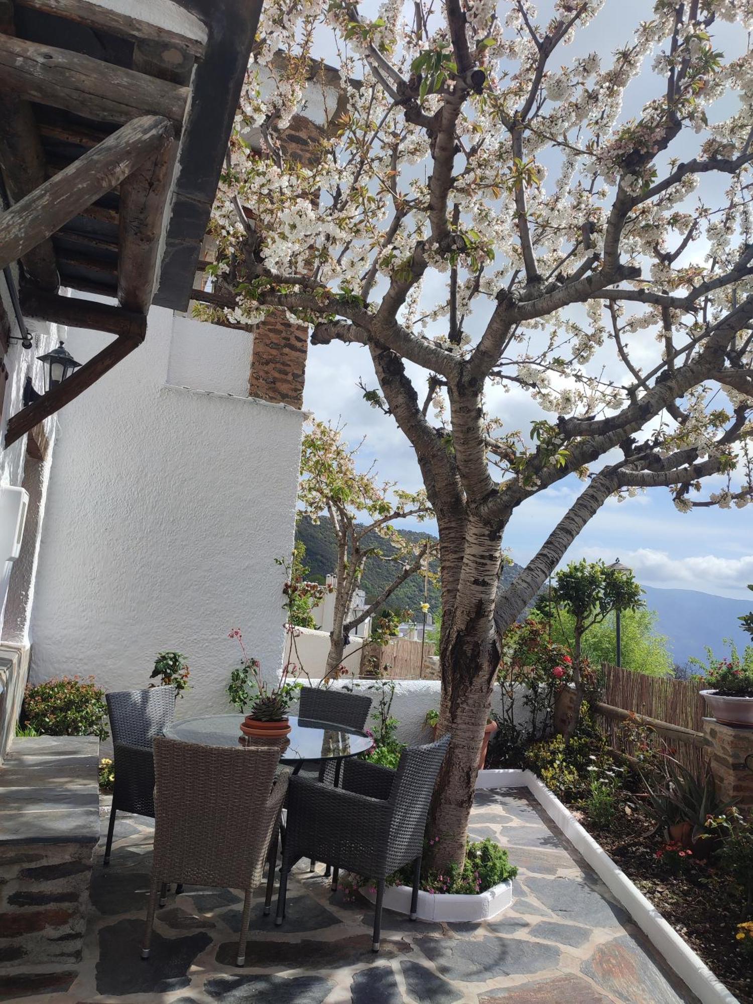 Casa Alpujarrena Fina Numero 27 Bubión Dış mekan fotoğraf