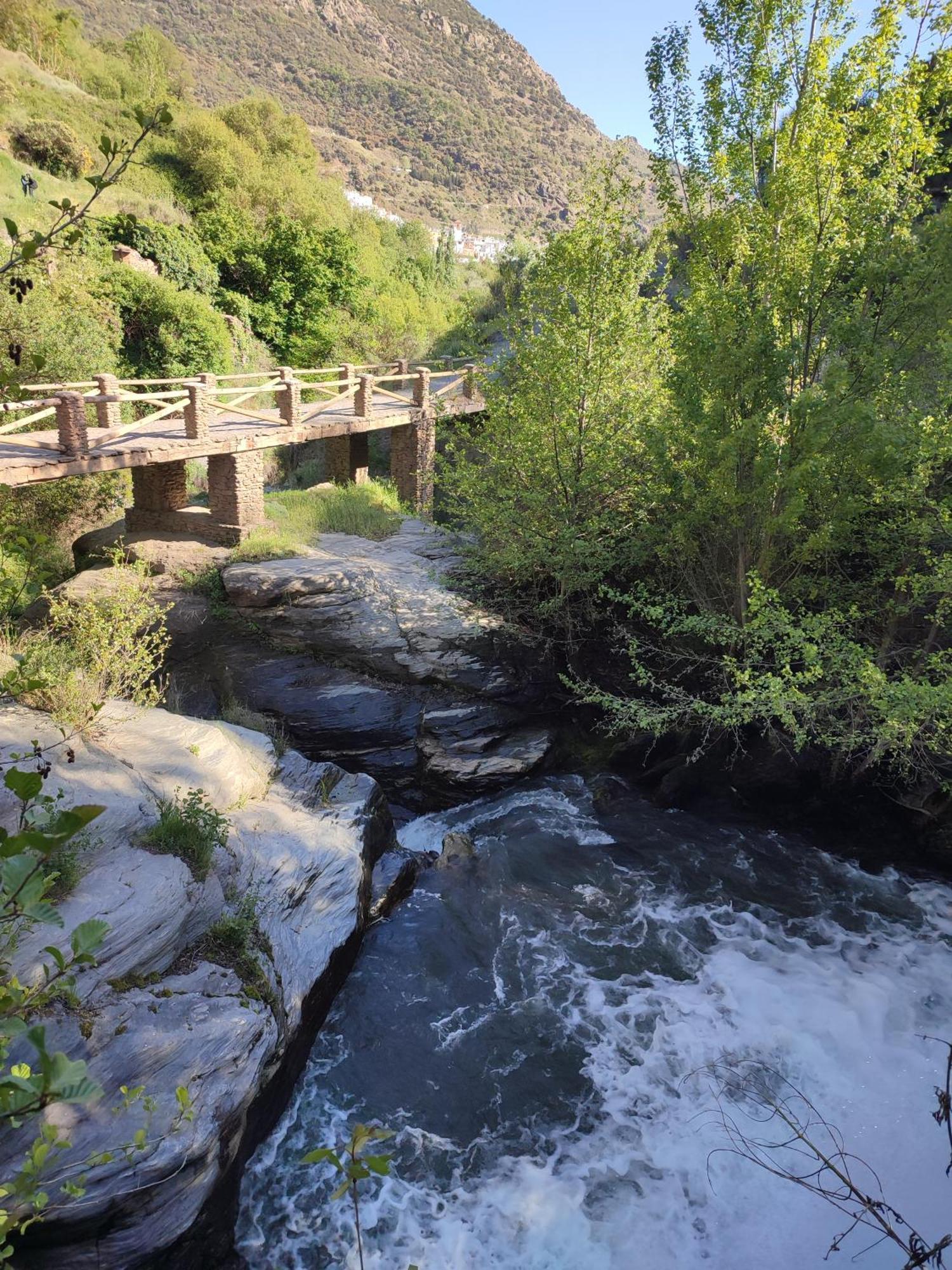 Casa Alpujarrena Fina Numero 27 Bubión Dış mekan fotoğraf